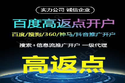 行业领先企业的sem账户竞价运营策略